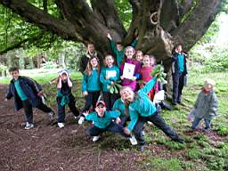P6 class 1.jpg